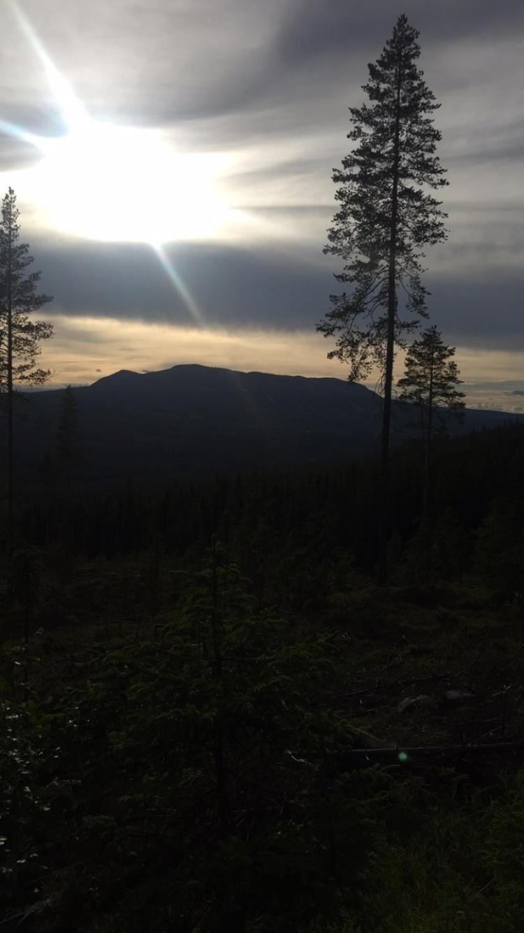 In The Middle Of Trysil Fjellet - Welcome Center - Apartment With 4 Bedrooms And Sauna - By Bike Arena And Ski Lift Extérieur photo