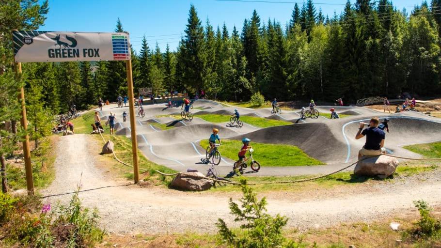 In The Middle Of Trysil Fjellet - Welcome Center - Apartment With 4 Bedrooms And Sauna - By Bike Arena And Ski Lift Extérieur photo